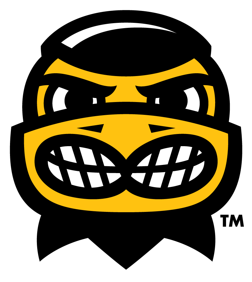 Iowa Hawkeyes 2013-Pres Mascot Logo v2 iron on transfers for clothing